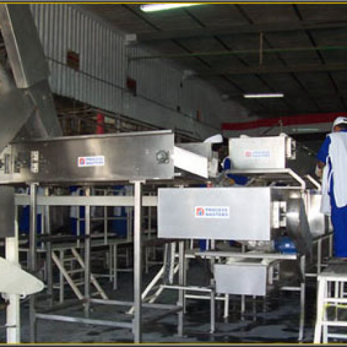 MANGO PULP PROCESSING LINE